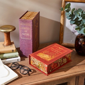 Set of 2 Decorative Classics Book Storage Boxes Set of 2 Decorative Classics Book Storage Boxes